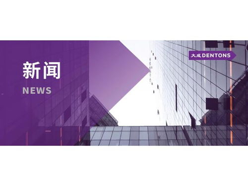 大成律師為中國建材地質勘查中心開展礦業投資法律風險防范講座